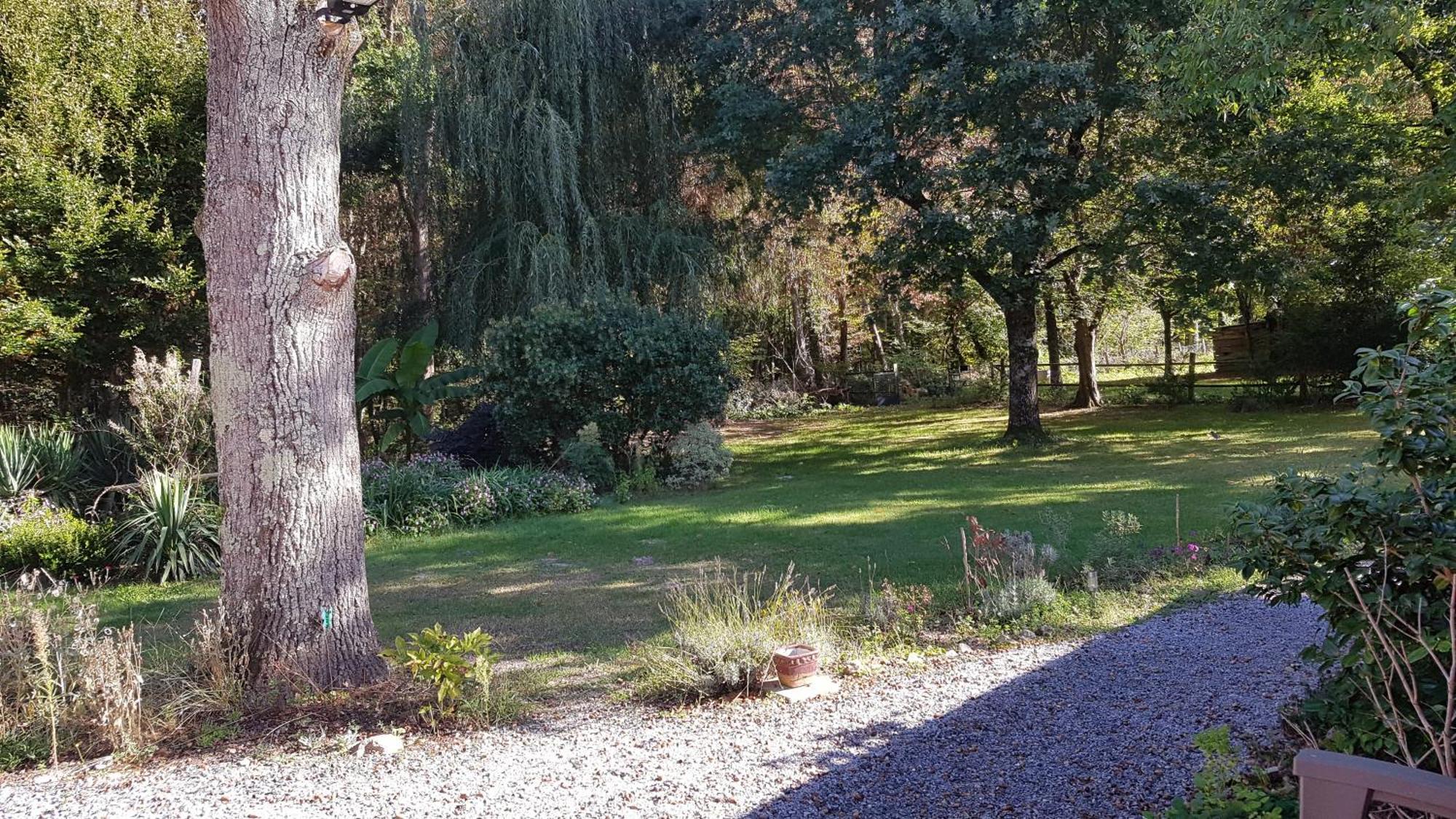Saint-Romain-sur-CherDomaine De Sahil住宿加早餐旅馆 外观 照片